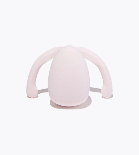Eva 2 vibrator